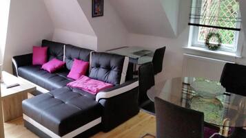 Fernseher, DVD-Player