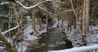 Escapade alpine Ă Wildemann