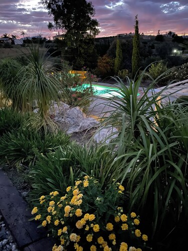 Finca Lavinia. Relaxing holiday guest home with swimming pool 