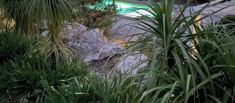 Finca Lavinia. Relaxing holiday guest home with swimming pool 