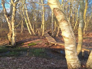 Miscellaneous - Ferienhaus Boschhuys (Uelsen)