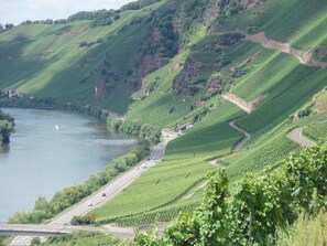 Miscellaneous - Vineyard View Romantic Stay (Kinheim/Mosel)