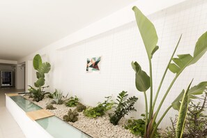 Apartment - Visitsicilia Vasile 9 - 1 (Castellammare del Golfo)