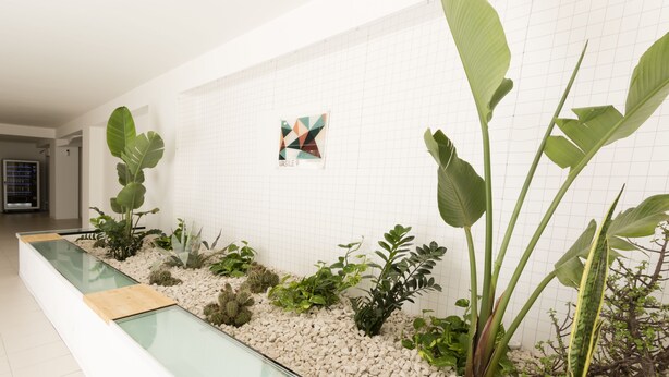 Un intérieur moderne avec une longue vitrine en verre remplie de plantes et de petits galets, un mur recouvert de carreaux blancs orné d  ’une œuvre d’art géométrique, et une porte visible au fond.