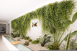 A wall covered with green ivy, a tiled wall, and a small framed picture. - Visitsicilia Vasile 9 - 2 (Castellammare del Golfo)