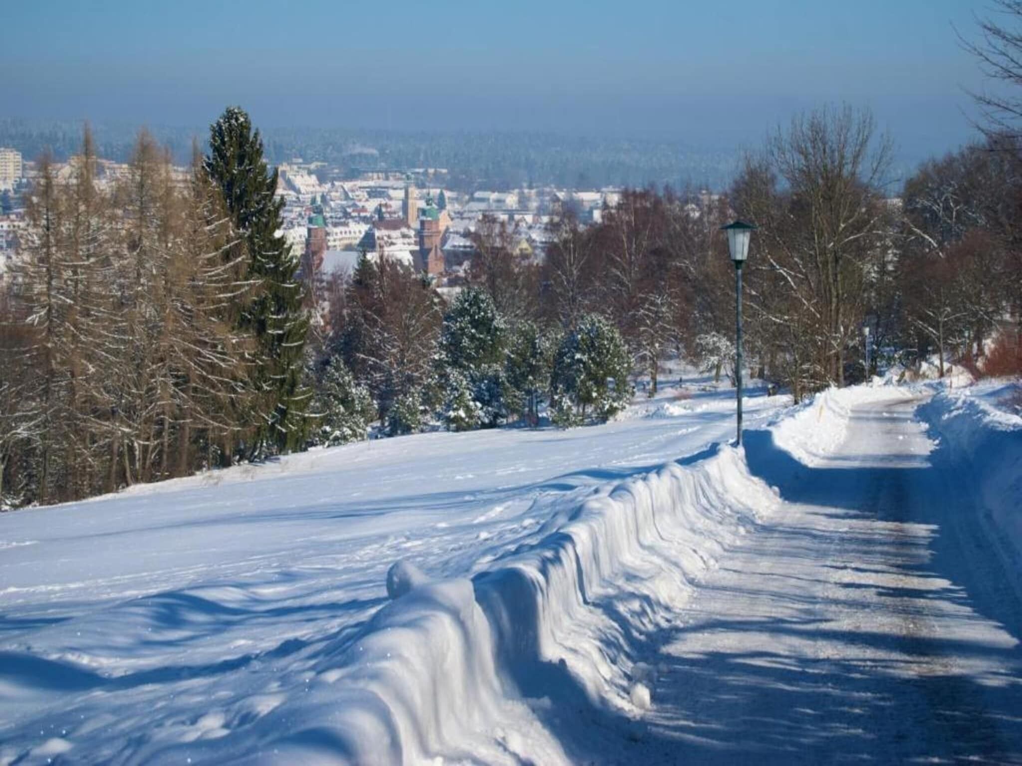 Een besneeuwde weg met een lantaarnpaal, bomen en een uitgestrekt uitzicht op een stad.