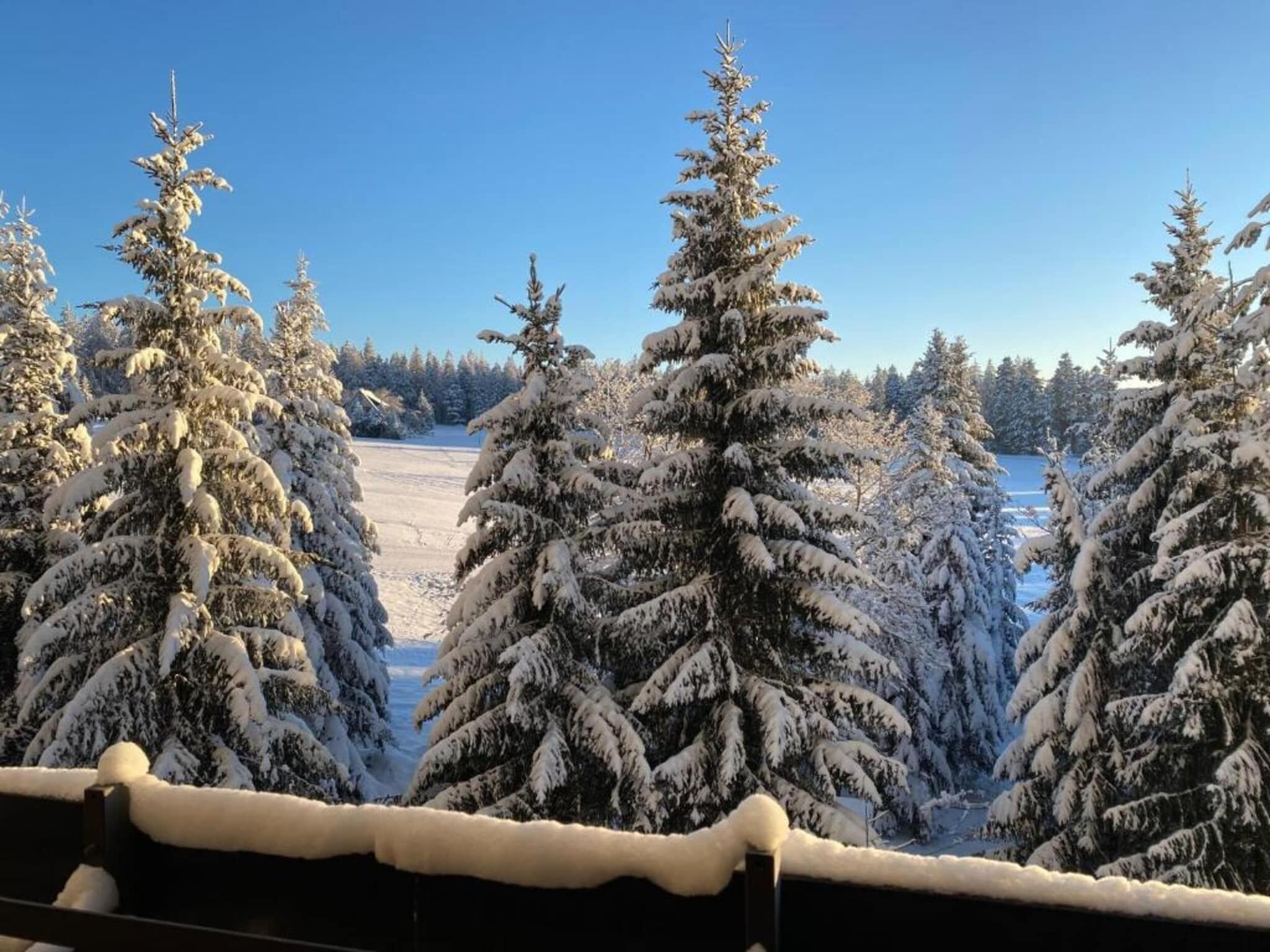 A snowy landscape with evergreen trees and a clear blue sky.