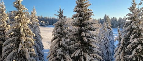 A snowy landscape with evergreen trees and a clear blue sky.