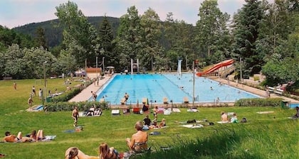 Apartment in Triberg near Green Forest Slopes