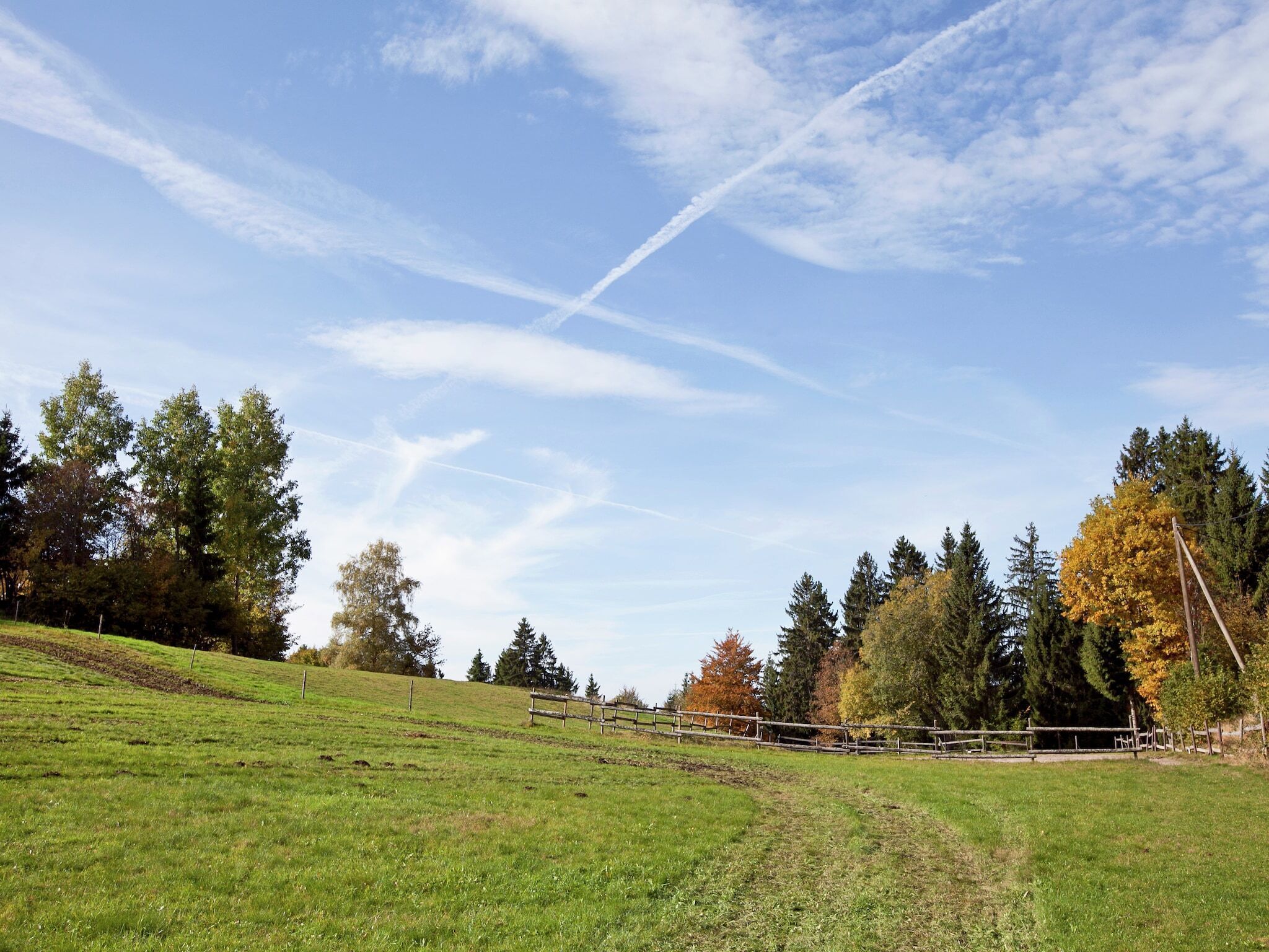 A grassy field with a wooden fence, trees, and a clear sky with contrails.