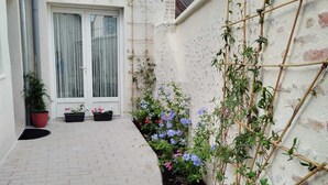 Un patio con sendero empedrado, plantas en macetas y una enredadera que trepa por la pared.