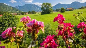 A rural landscape with mountains, a clear sky, and a field of pink flowers in the foreground. - Ferienwohnung in Ruhpolding (Ruhpolding)
