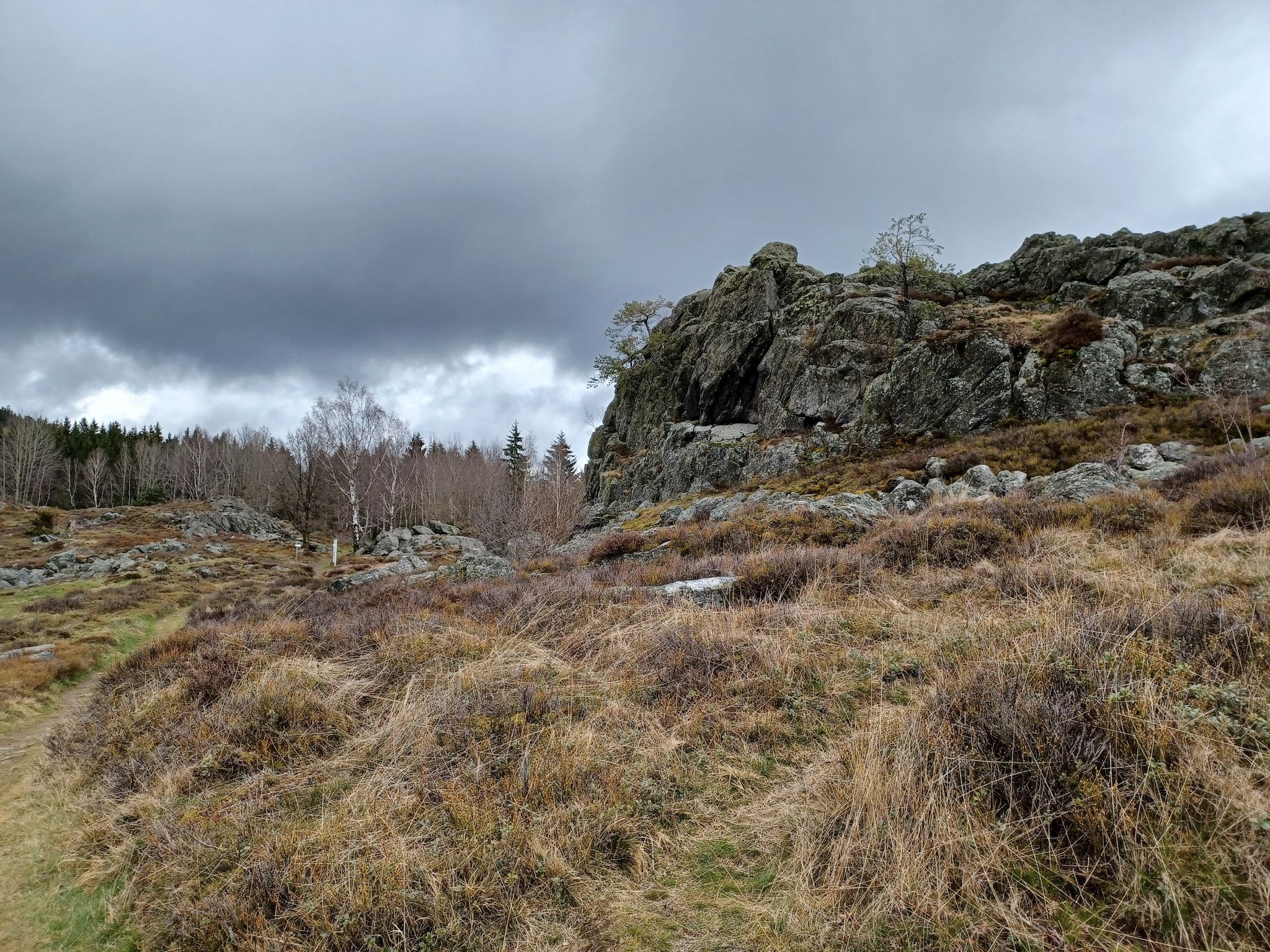 Een natuurlijk landschap met een rotsachtige richel en schaarse begroeiing.