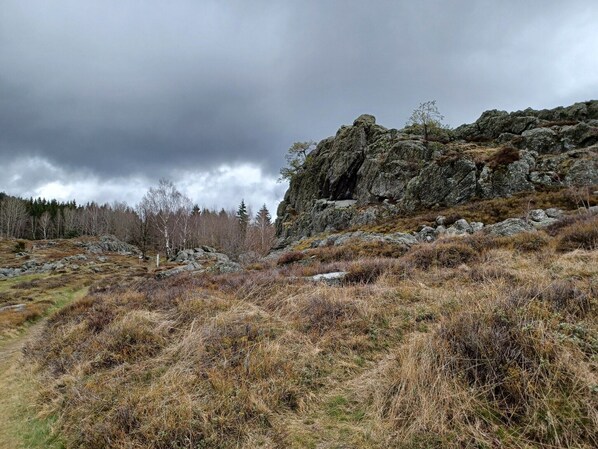 A rugged landscape with rocky terrain, sparse vegetation, and a forest in the background. - Ferienhaus in der Nähe der Skipiste (Stadlern)