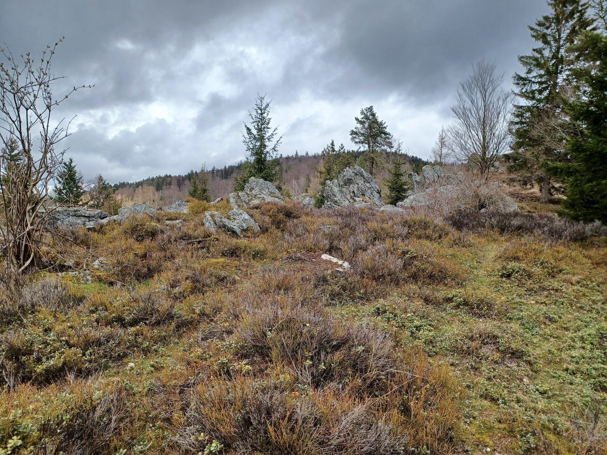 Un paysage naturel caractérisé par un terrain rocheux et une végétation clairsemée.