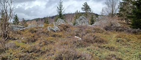 A natural landscape with rocky terrain and sparse vegetation.