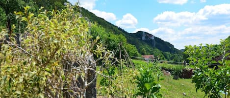 Terrain de lâhĂ©bergement