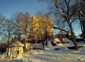 Exterior - Haus Samoa with private terrace, views (Viechtach)