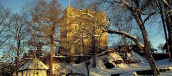 Holiday Home Viechtach near Ski Arber