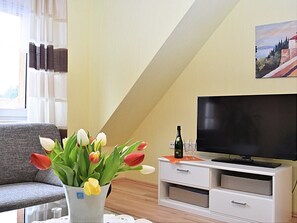 Televisión 