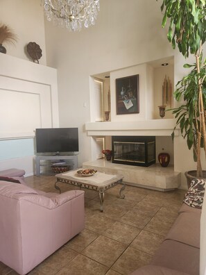 Smart TV, fireplace, books