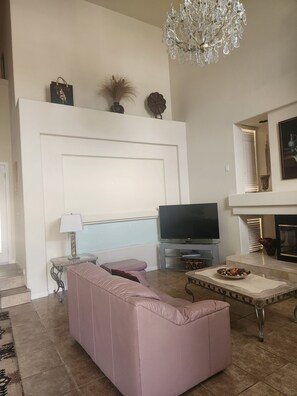 Smart TV, fireplace, books