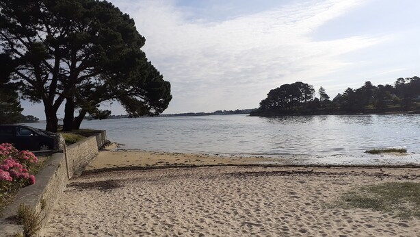 A sandy beach with a car parked nearby and a large tree in the foreground. - Seaside house 6 pers. Trébeurden pink granite coast Brittany (Trébeurden)
