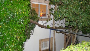 Edificio con ventana y puerta, rodeado de abundante follaje.