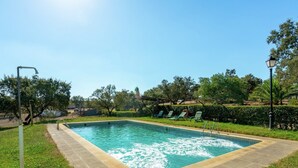 Piscina rectangular con borde de azulejos, rodeada de césped y árboles.