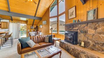 TV, fireplace, DVD player, books