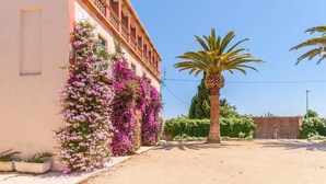 Un edificio con enredaderas florecientes de color rosa y una palmera en primer plano.