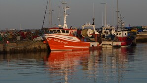Un port de plaisance où sont amarrés des bateaux, dont un navire rouge et blanc portant le numéro SN 637 415.