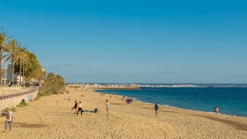 Plage à proximité