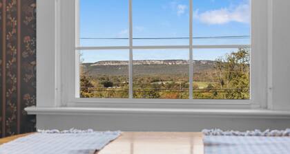 CHARMING Mid Century Vintage 1BR Guest Suite - 2 Min to Downtown