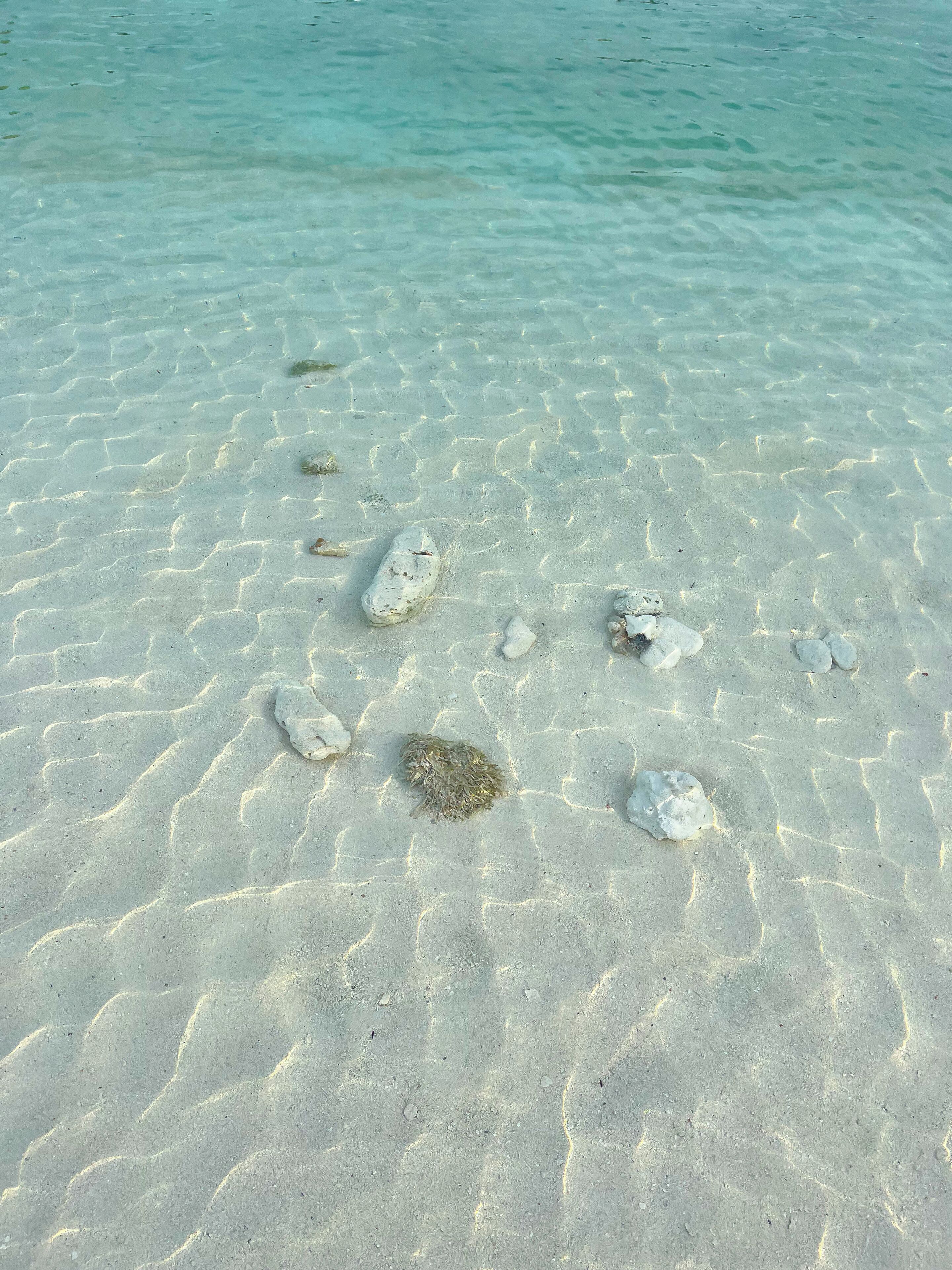 Sun loungers, beach towels