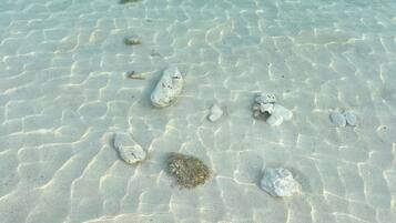 Chaises longues, serviettes de plage