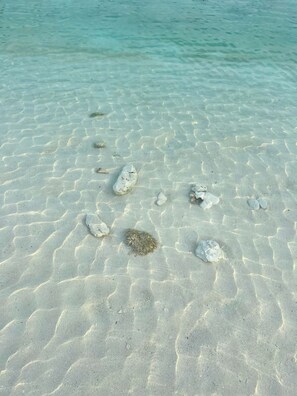 A clear view of a sandy beach with visible footprints and seaweed.