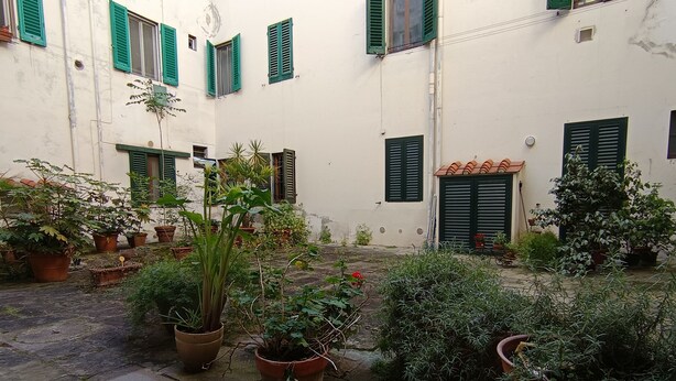 Une cour agrémentée de plantes en pot, dotée d’un sol carrelé et bordée d’un bâtiment aux volets verts.
