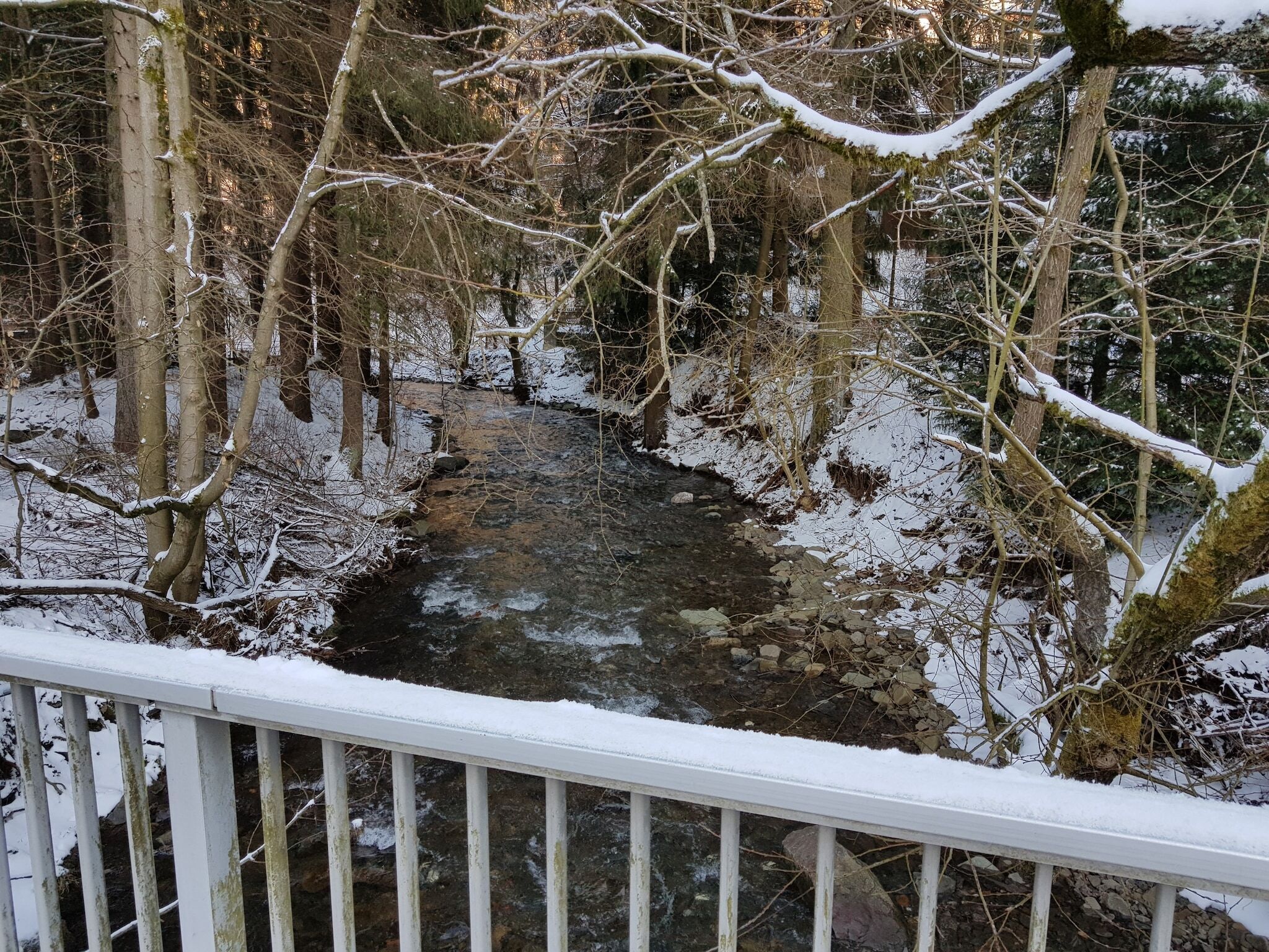 Terrain de l’hébergement 