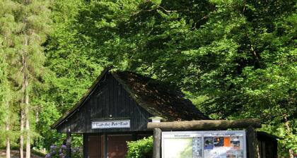 Wohnung in Wildemann nahe Harzwald