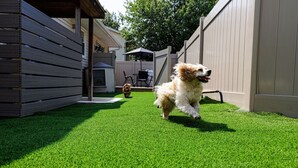 A dog running on artificial grass in a backyard with a wooden fence and a patio area in the background. - The Cooper Home, Dogs Welcome! (Ephrata)