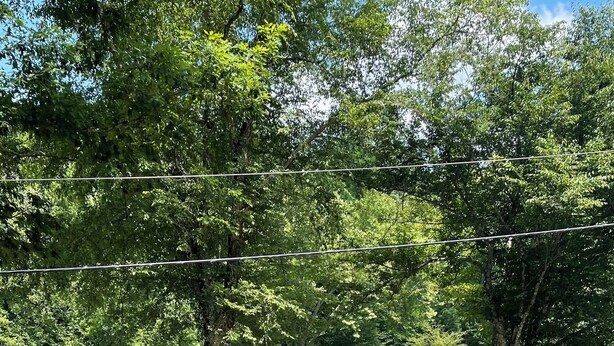 A river with a gravel path and trees. - River tunes at its best panoramic views just steps away from the river  (Ellijay)