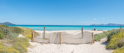 Vlak bij het strand