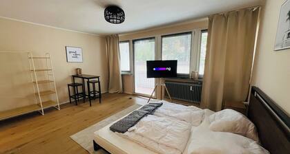 1-Zimmer-Wohnung nahe Sanaklinikum Balkon Netflix