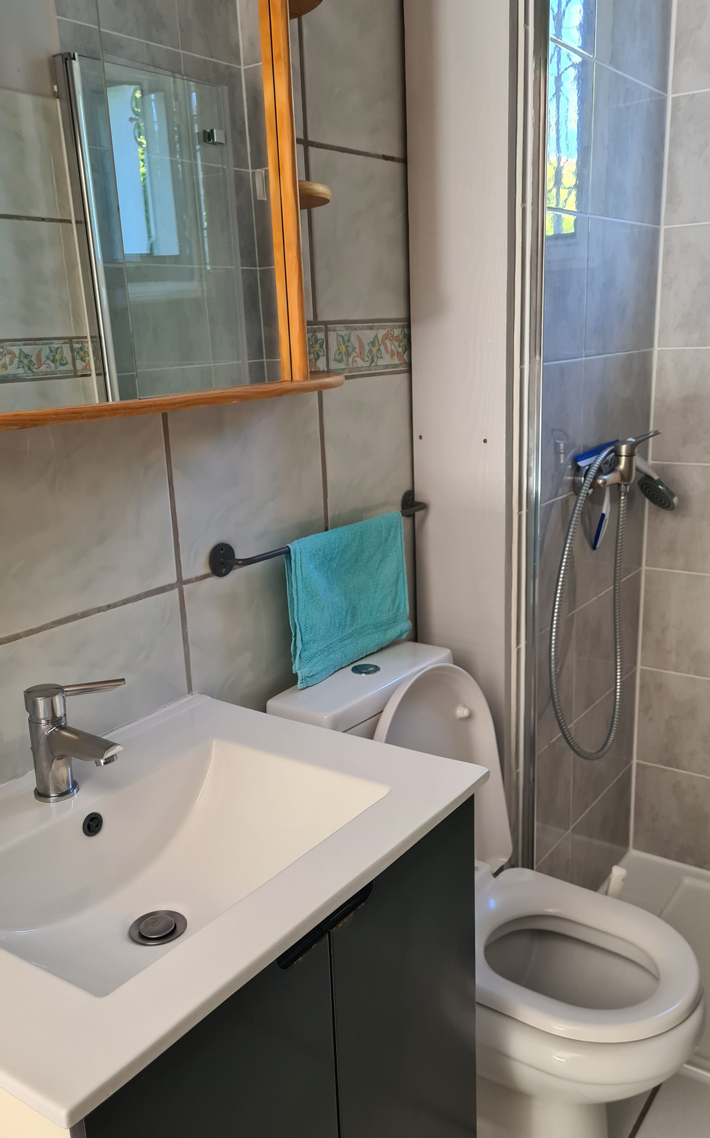 A bathroom with a white sink, a toilet, and a shower area.