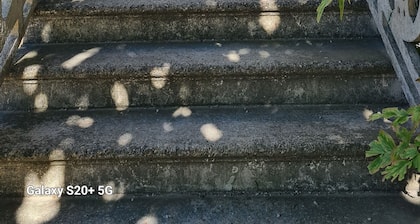 Maison avec jardin clos