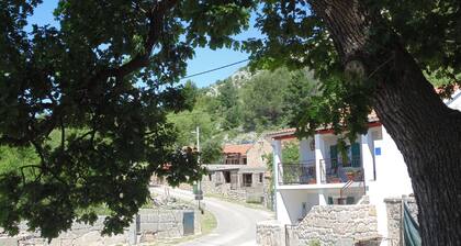 Holiday Home in Starigrad near Beach