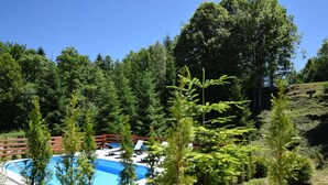 Pool - Holiday Home in Gorski Kotar with Pool (Brod Moravice)