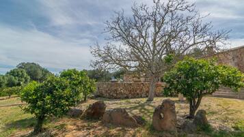Jardines del alojamiento