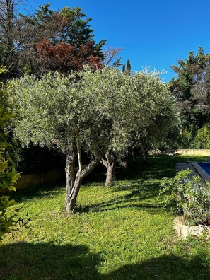Property grounds - Quiet house not overlooked, air-conditioned on wooded and enclosed grounds - Parking. (Rochefort du Gard)